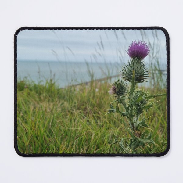 Item preview, Ontop of the white cliffs designed and sold by lukestowe.