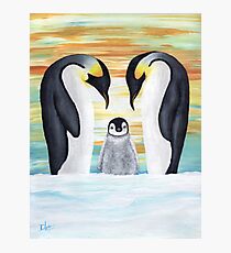 Penguin Family with Baby Penguin Photographic Print