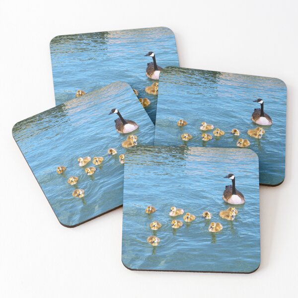 Item preview, Canada Goose Goslings Scattering In The Water designed and sold by BackyardBirder.