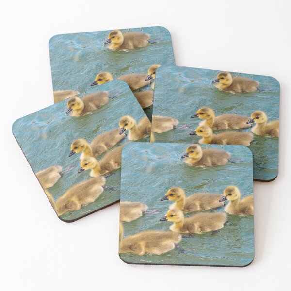 Item preview, Young Canada Goose Goslings Swimming Together designed and sold by BackyardBirder.