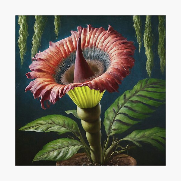Item preview, Houseplant in Terracotta Pot designed and sold by BestArtByArvind.