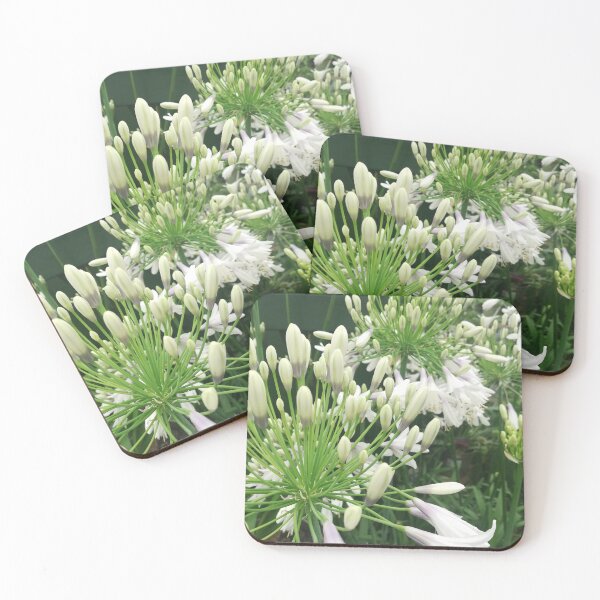 Item preview, White agapanthus photograph designed and sold by esvb.
