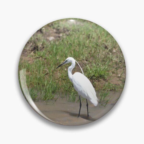 Item preview, An Elegant Egret designed and sold by Tom Wurl.
