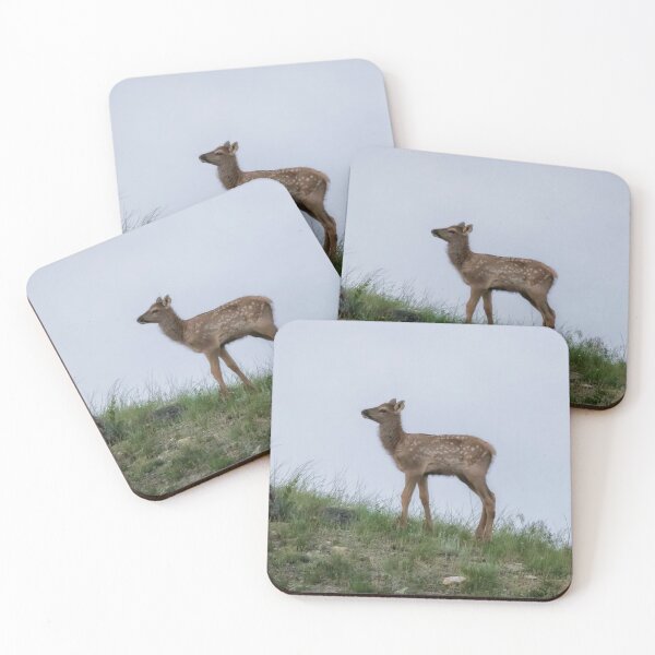 Item preview, Elk Calf on Hill Near Mammoth Hot Springs, Yellowstone designed and sold by Belinda Greb Photography.