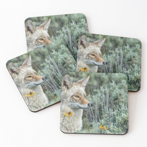 Item preview, Beautiful Yellowstone Coyote designed and sold by Belinda Greb Photography.