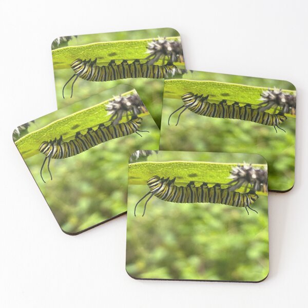 Item preview, Monarch Caterpillar with some Milkweed Tussock Moths designed and sold by Fawnadeer.
