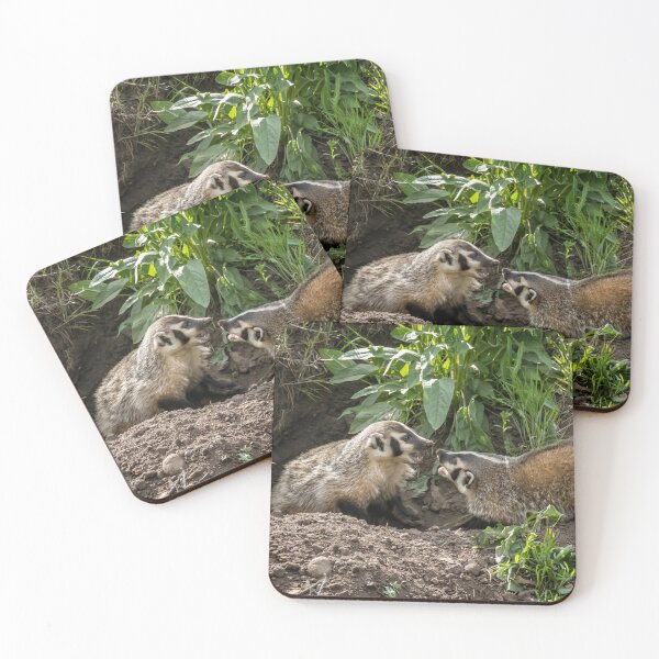 Item preview, Sibling Rivalry, No. 1 designed and sold by Belinda Greb Photography.