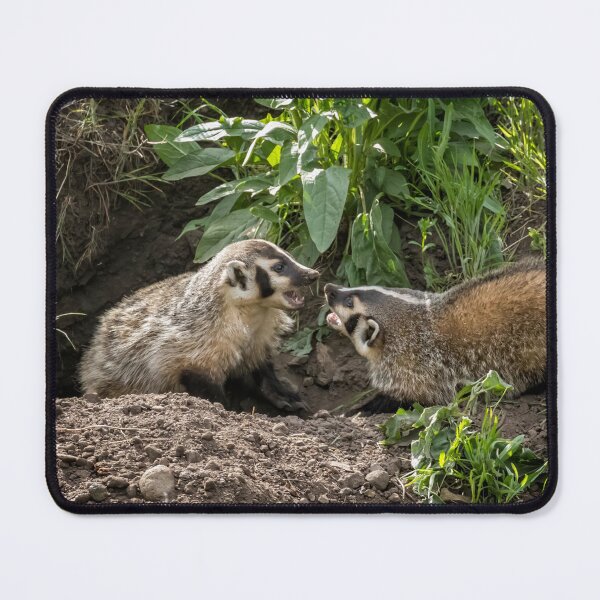 Item preview, Sibling Rivalry, No. 1 designed and sold by Belinda Greb Photography.