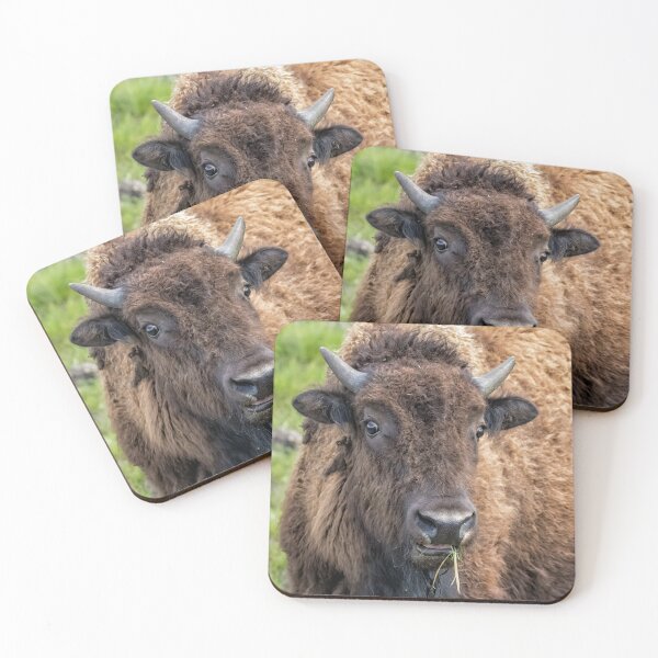 Item preview, Surprise You're on Candid Camera designed and sold by Belinda Greb Photography.