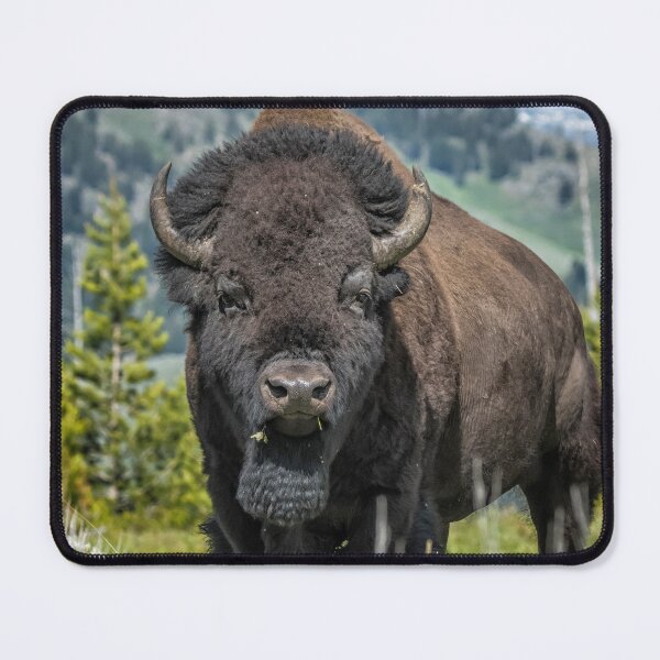 Item preview, Bison Clearing Out the Photographers from in Front of the Badger Den designed and sold by Belinda Greb Photography.