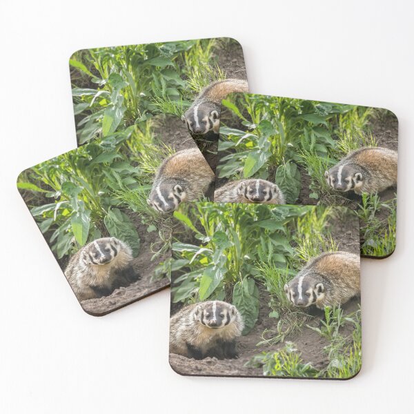 Item preview, Badger Cubs in Front of Their Den at Yellowstone designed and sold by Belinda Greb Photography.