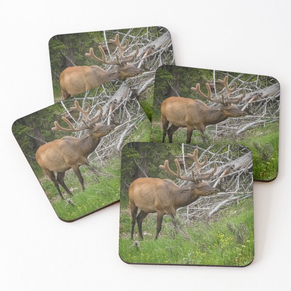 Item preview, Elk with Velvet Antlers designed and sold by Belinda Greb Photography.