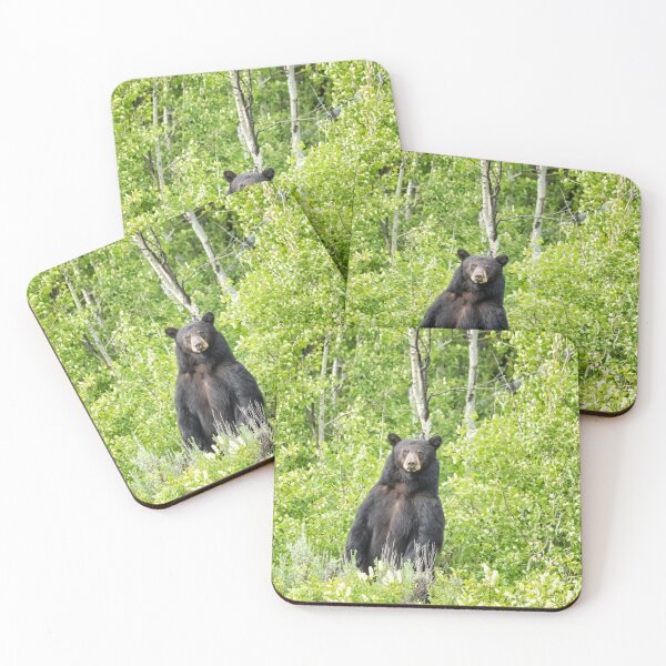 Item preview, Male Black Bear Looking To Cross the Road, Grand Tetons designed and sold by Belinda Greb Photography.