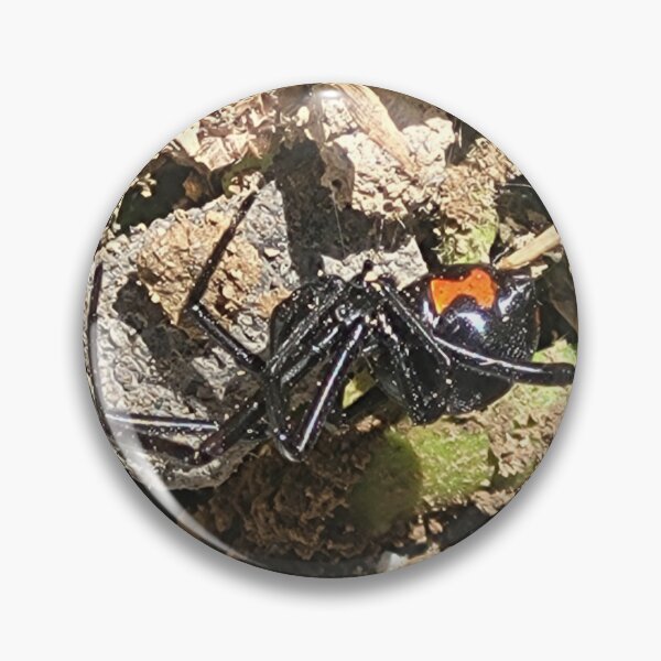 Item preview, Black Widow Spider Photograph designed and sold by Raineylanes.