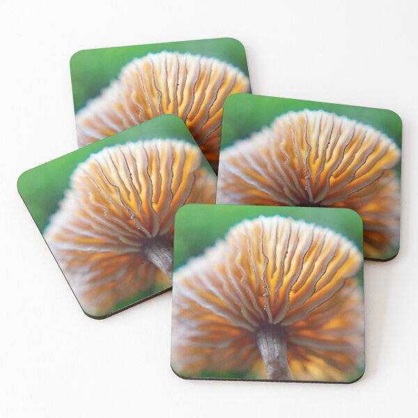 Item preview, Mushroom Gills Macro Photo designed and sold by JMDesignHouse.