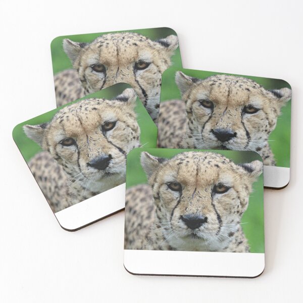 Item preview, Tasty designed and sold by Ladymoose.