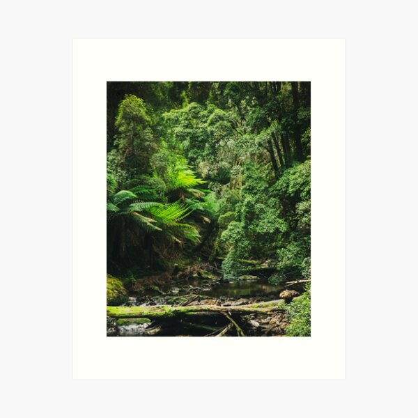 Item preview, Tasmanian Wilderness designed and sold by jedzok.