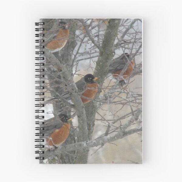 Item preview, A bundle of Robins designed and sold by TheVioletWitch.