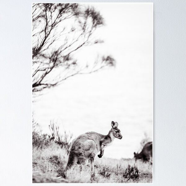 Item preview, Kangaroos III designed and sold by Tash Mohring.