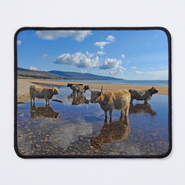 Item preview, Unusual Bathers on Brora Beach!  designed and sold by sandysshoots.