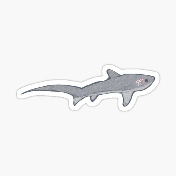 Item preview, Coquette Thresher Shark designed and sold by Catotwo.