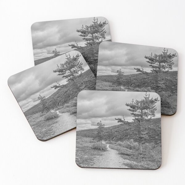 Item preview, The Path by the Pines. The Gorge. Paasiaiskuru 2 bw designed and sold by Jouko Lehto Photography.