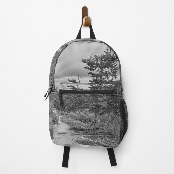 Item preview, The Path by the Pines. The Gorge. Paasiaiskuru 2 bw designed and sold by Jouko Lehto Photography.