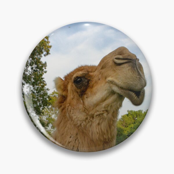 Item preview, Camel Joe designed and sold by Brody McCauley.