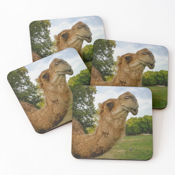Item preview, Camel Joe designed and sold by Brody McCauley.