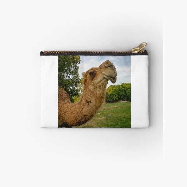 Item preview, Camel Joe designed and sold by Brody McCauley.