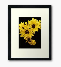 Yellow Cluster Framed Print