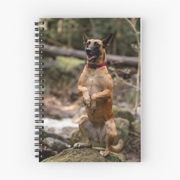 Item preview, praying hunting dog  designed and sold by Cannanvisual7.