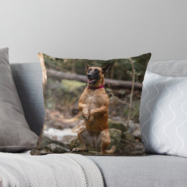 Item preview, praying hunting dog  designed and sold by Cannanvisual7.