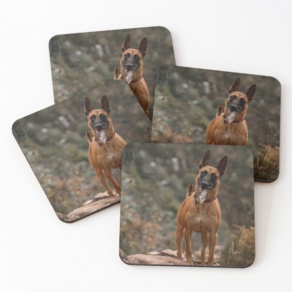 Aperçu de l'œuvre CHIEN DE CHASSE MIGNON DANS LA MONTAGNE créée et vendue par Cannanvisual7.