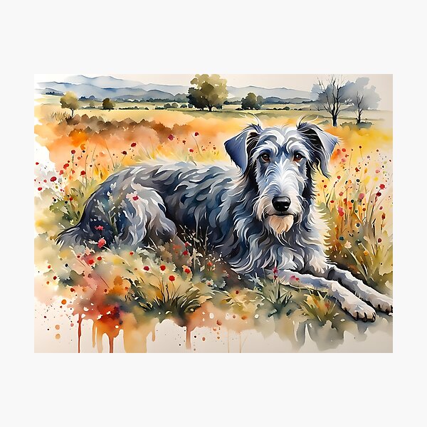 Deerhound - Modern Watercolour-style Dog Breed Pet Portrait Photographic Print