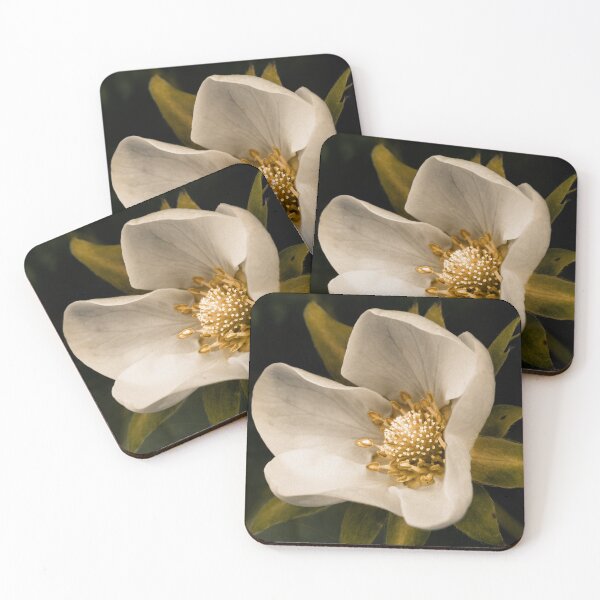 Item preview, Strawberry flower designed and sold by Gaspar Avila.