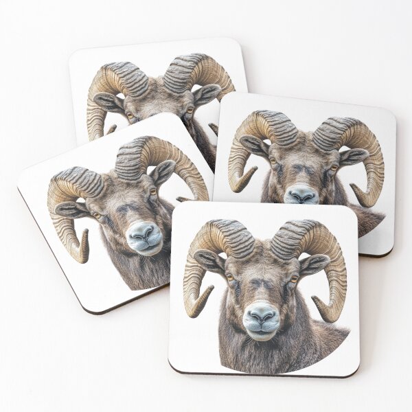 Item preview, Cute ram // angry ram // flowers // majestic // ram poster // hunter designed and sold by SMARTKIT  DESIGNAGENCY.
