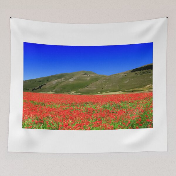 Item preview,  Castelluccio di Norcia  designed and sold by annalisa56.