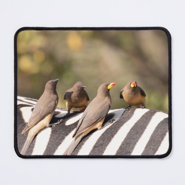 Item preview, Oxpeckers on Zebra designed and sold by MyAfricanSafari.