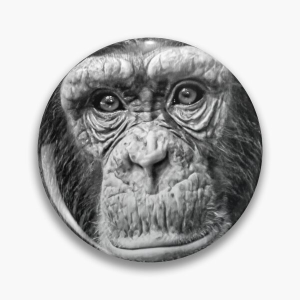 Item preview, Just look into my eyes designed and sold by Dalyndigital Photography.