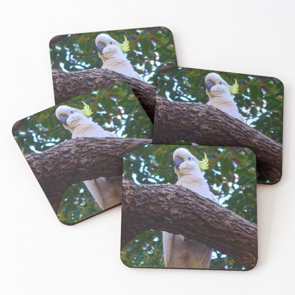 Item preview, The Sulphur Crested Cockatoo ! designed and sold by Mickangelhere.