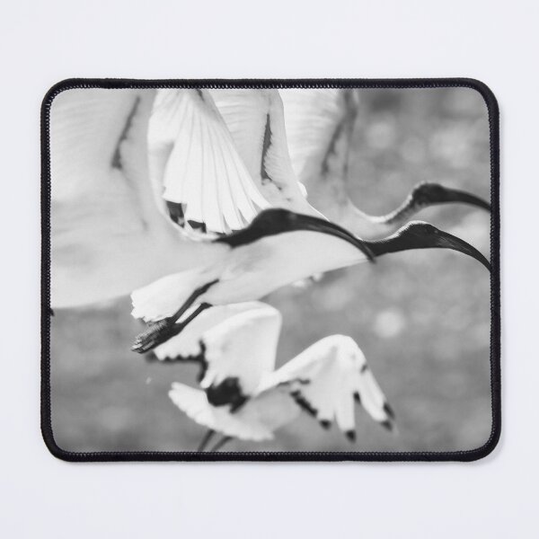 Item preview, Sacred Ibis Abstract designed and sold by MyAfricanSafari.