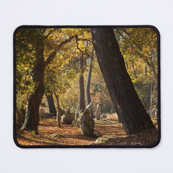 Item preview, Alignements du Petit-Ménec designed and sold by Zolachrome Photography.