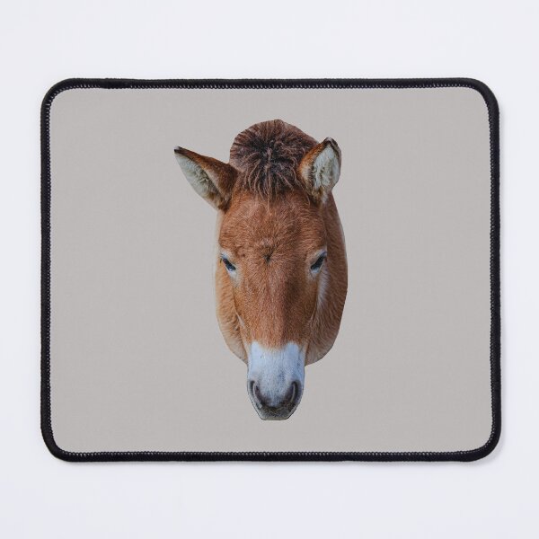 Item preview, Lindo burro designed and sold by Dalyndigital Photography.
