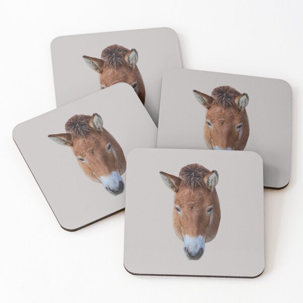 Item preview, Lindo burro designed and sold by Dalyndigital Photography.