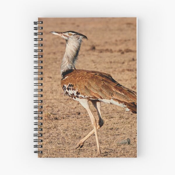 Item preview, Kori Bustard designed and sold by Eidetic Photos.