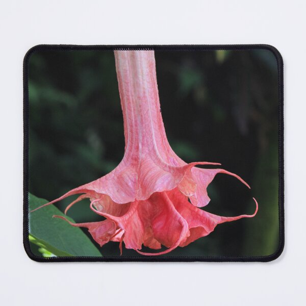 Item preview, Fairy Flower designed and sold by danasdiary.
