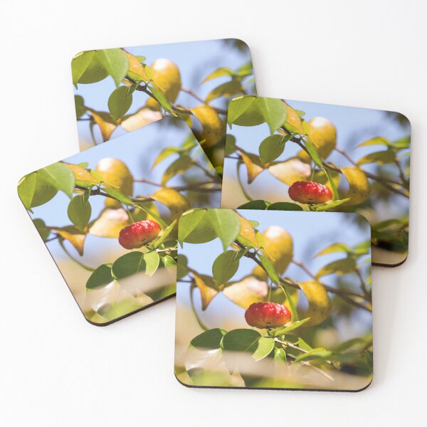 Item preview, Exotic Fruit - Eugenia uniflora designed and sold by danasdiary.