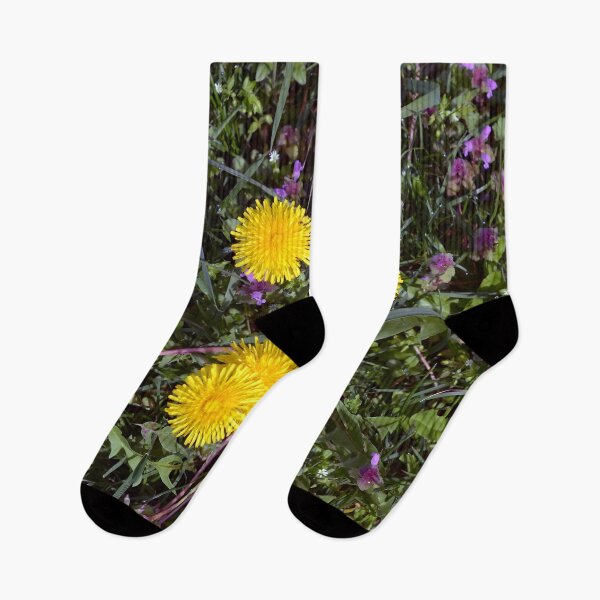 Item preview, The beautiful dandelions in the garden designed and sold by Marcu Ioachim.