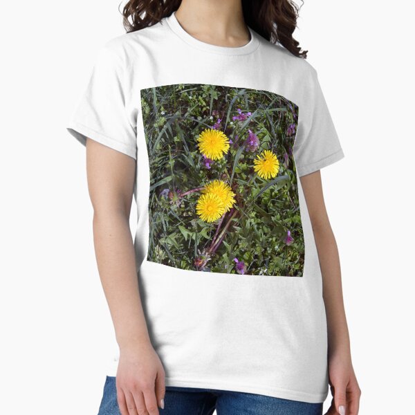The beautiful dandelions in the garden Classic T-Shirt
